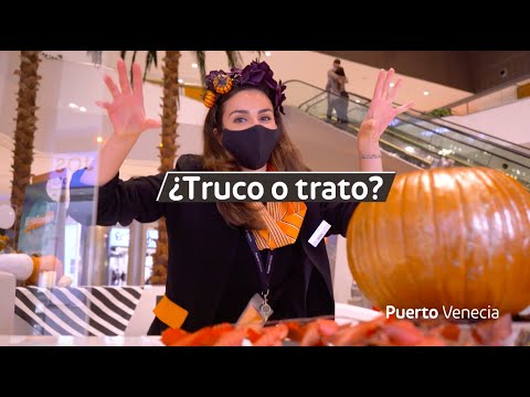 Preview image for the video "Halloween en Puerto Venecia | #thisishalloweenpv". Preview image for the video "Halloween en Puerto Venecia | #thisishalloweenpv".