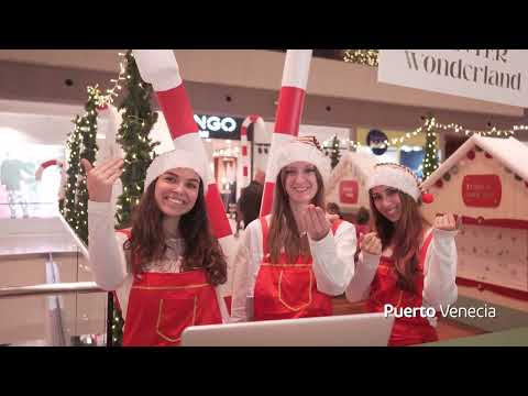 Preview image for the video "Resumen Navidad 2022 🎄 🎅🏻  | Puerto Venecia".