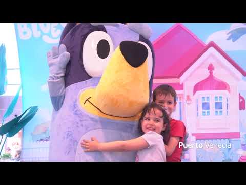 Preview image for the video "¡Hasta siempre, Bluey! 🐶💙".