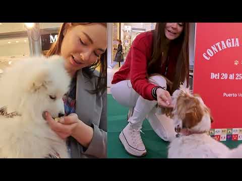 Preview image for the video "Día de la Felicidad😀 | Puerto Venecia".