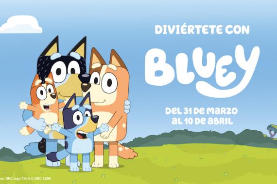 post-bluey.jpg