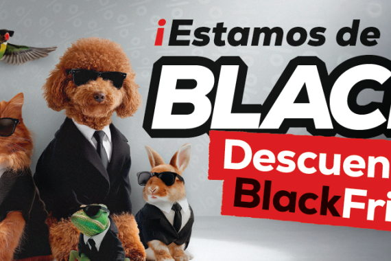 Captura de pantalla 2025-11-25 164032.png