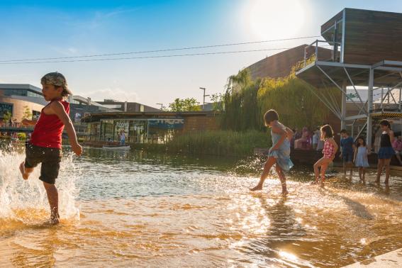 Un verano a bordo