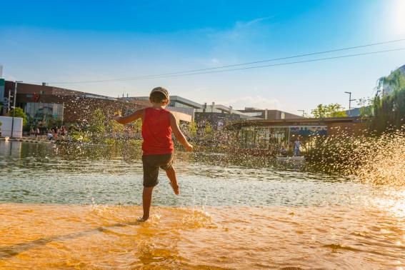 Un verano a bordo