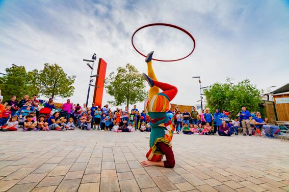 Festival de la felicidad