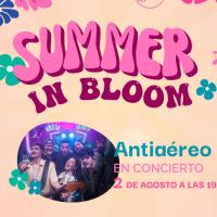 Summer In Bloom Antiareo 