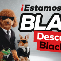 Captura de pantalla 2025-11-25 164032.png