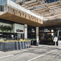 UDON (2).jpg