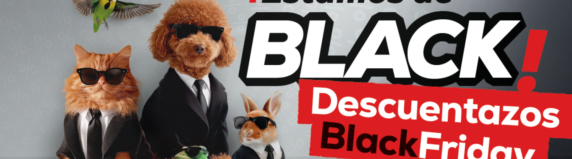 Captura de pantalla 2025-11-25 164032.png