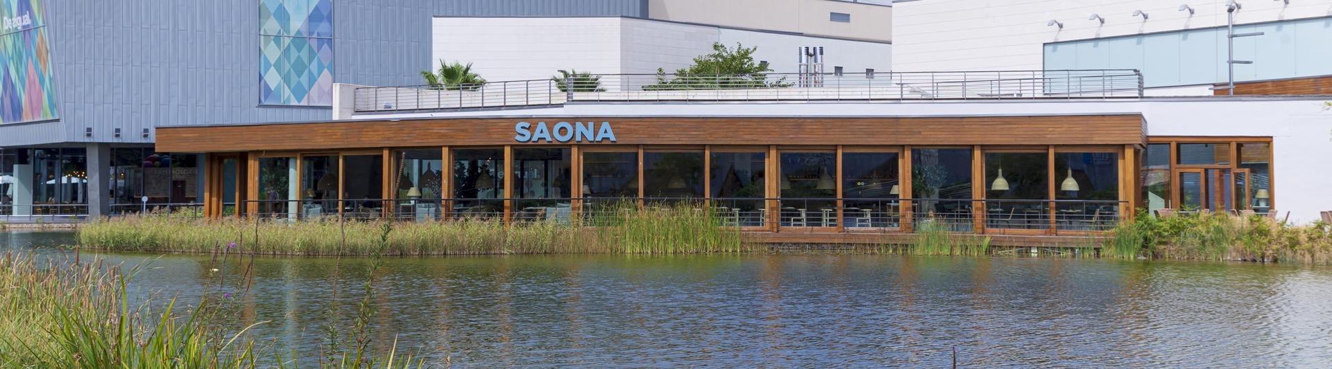 SAONA_39.jpeg