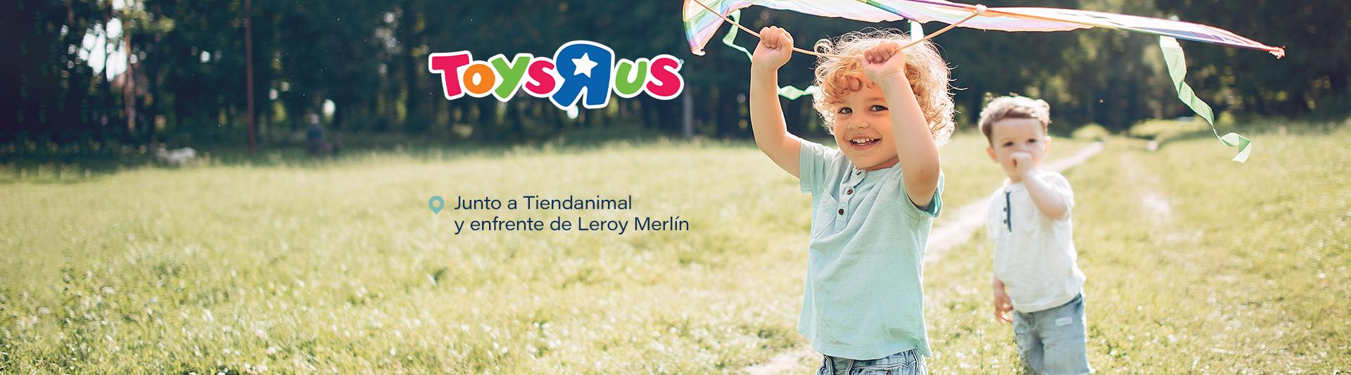 TOYS