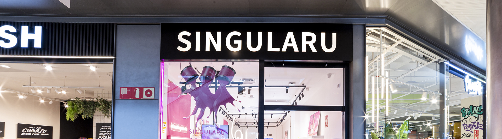 singularu.jpg