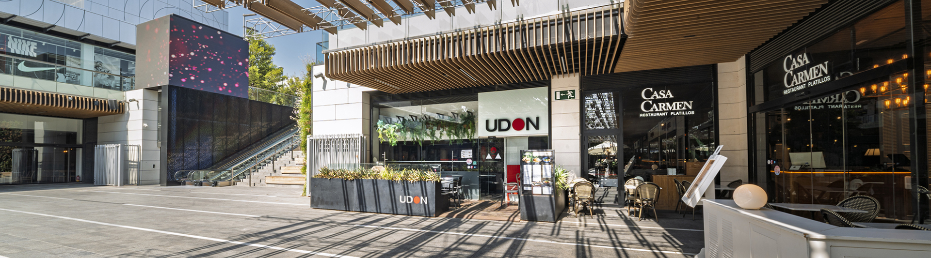 UDON (1).jpg