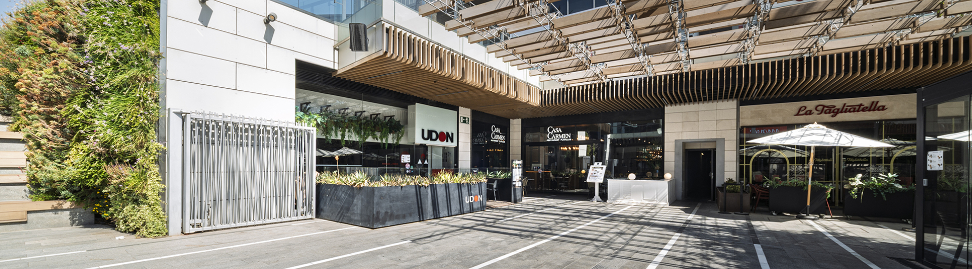 UDON (2).jpg