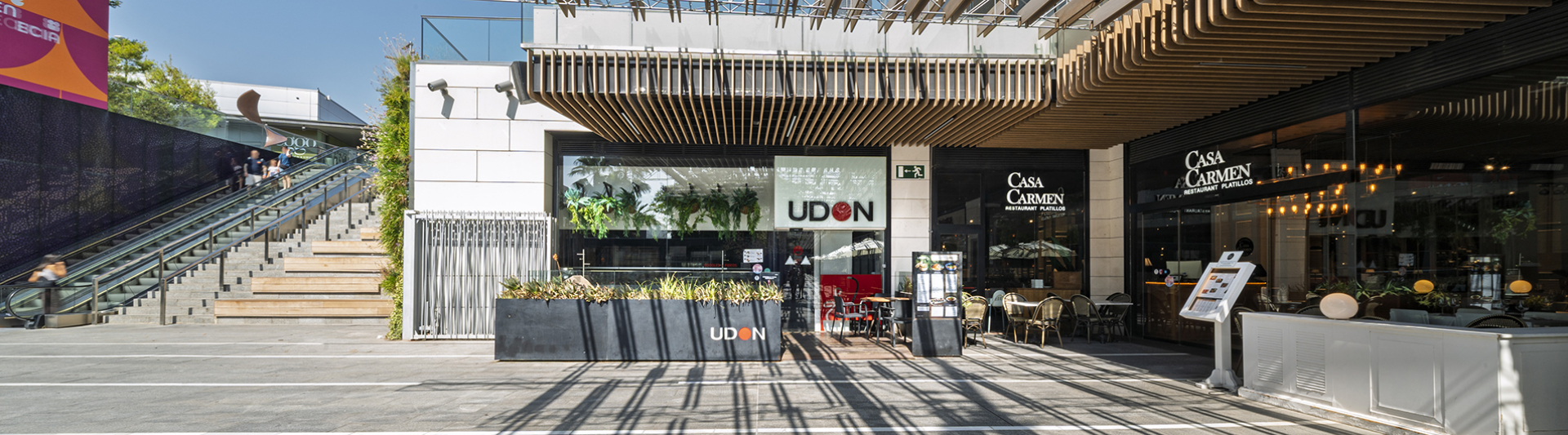 UDON (3).jpg