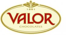 logo valor