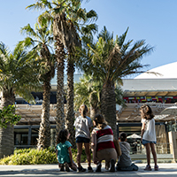 visitas botanicas.jpg