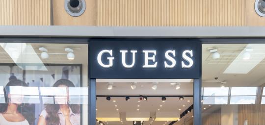 GUESS.jpg