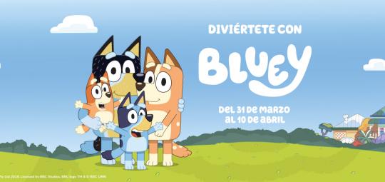 post-bluey.jpg