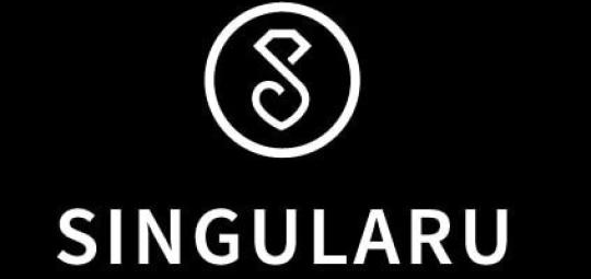 imgi_6_logo-singularu-lilla.jpg
