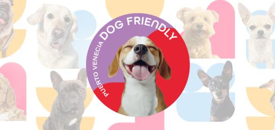 post-dog-friendly.jpg