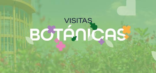 visitas-botanicas-post.jpg