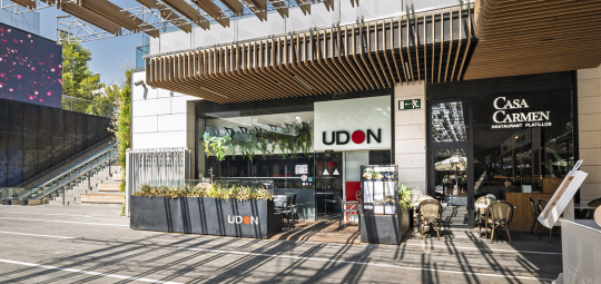 UDON (1).jpg