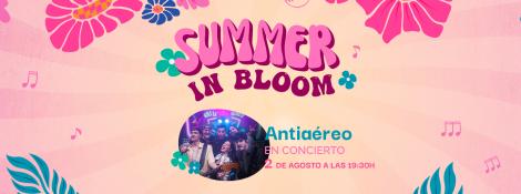Summer In Bloom Antiareo 