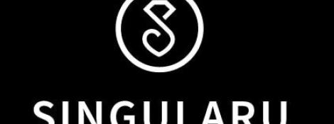 imgi_6_logo-singularu-lilla.jpg