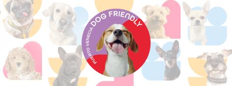 post-dog-friendly.jpg