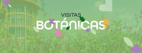 visitas-botanicas-post.jpg