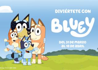 post-bluey.jpg