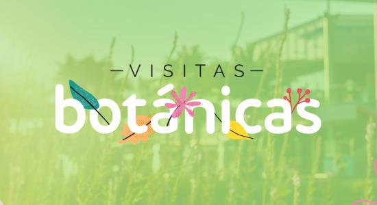 visitas botánicas